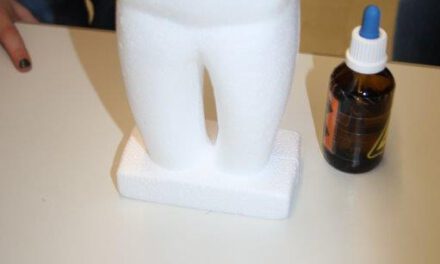 Besuch von Zahnärztin Frau Dr. Amberg