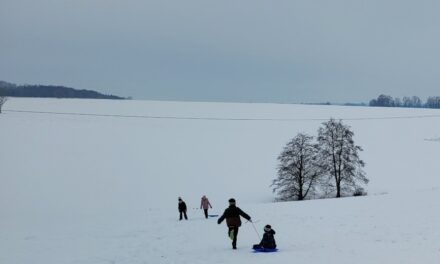 Schneespaß und Wintersporteln vor der Haustür